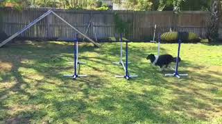 Randy Jump grids