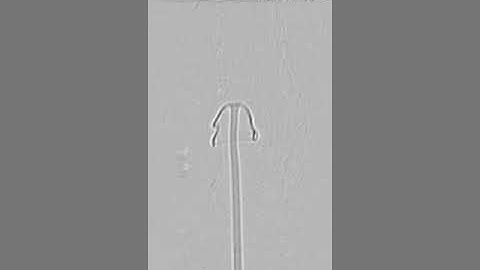 buoyant injected plume shadowgraph