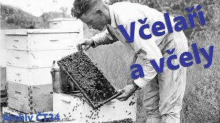 Včelaři a včely | Archiv ČT24