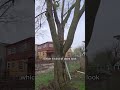 Garage Wiring-Buried Suprises
