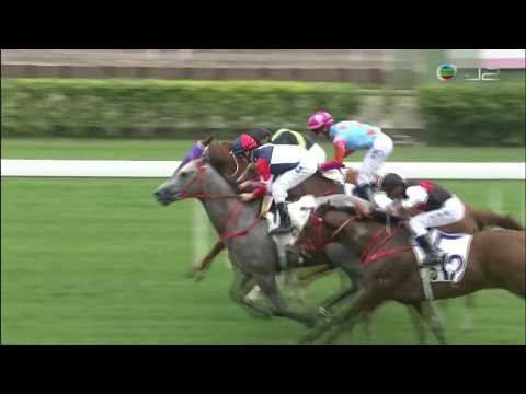 2018/19 (261) - Racing Fighter (競技勇士) - 潘頓 (練馬師葉楚航賽日中三元)