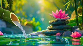 Relaxing Music, Spa Music, Meditation Music, Calming Music, Nature Sounds, Bamboo Water Sounds
