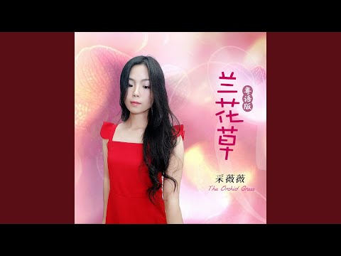 兰花草 (粤语女声版伴奏)