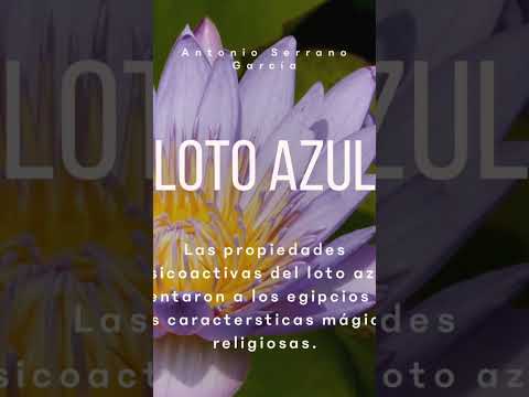 LOTO AZUL