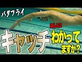 【バタフライ】意外と知らないキャッチの意味!フラットに泳ぐための重要なポイントです!#174