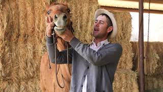 Celebrity My Snaffle Protocol/Fitting a Snaffle Bit Net Worth