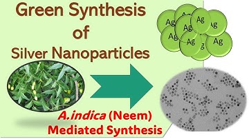 Green Synthesis of Silver nanoparticles using A. indica (Plant)