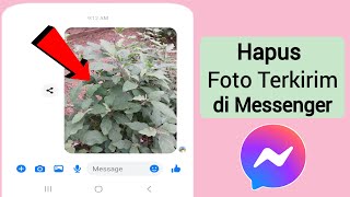 Cara Menghapus Foto Terkirim di Messenger (2024) | Hapus Gambar di Chat Messenger