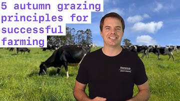5 Autumn Grazing Principles For Successful Farming