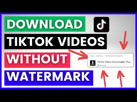 TikTok downloader - Download TikTok video without watermark online