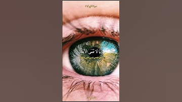 #سورة_الحج  #ياسر_الدوسري  ❤️ تلاوة خاشعة {افلم يسيروا في الأرض فتكون لهم قلوب يعقلون بها}