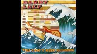 Barry Leef - You Can't Keep Running (Burning Your Bridges) (7" Vinyl)
