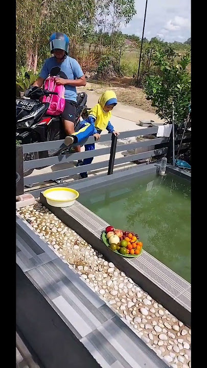 pulang sekolah langsung masuk kolam channa ambil buah 👏🍊 muarasyifa #shorts #channa #buah #jeruk