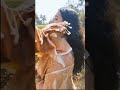 Eco-Printed Shawl | Sustainable Fashion Made by Nature