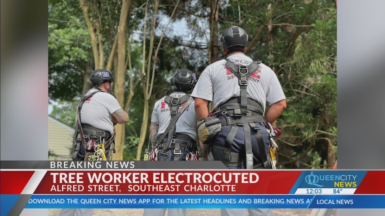 Tree worker hits power line, electrocuted in southeast Charlotte - YouTube