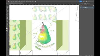 Create Final Presentation of Packaging Net Brief