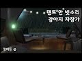 #멍마들  강아지와 함께 듣는 텐트 안 빗소리 | 반려견을 위한 힐링 백색소음  - The sound that makes your dog fall asleep