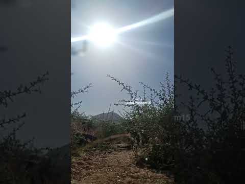 والله يالولى سجتي بعض الأحيان