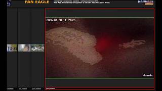 Camera Tamper Smart AI Detection & Smart Audio Alerts | Pan Eagle | Pancait Smart Systems screenshot 4