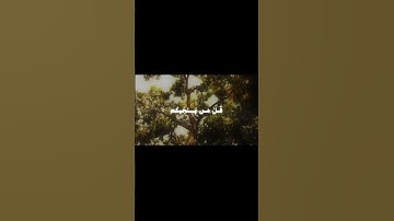 #قران_كريم #اكسبلور #quran #قران #بندر_بليلة #سوره_الانعام # #fypppppp #fyppppppppppppppppppppppppp