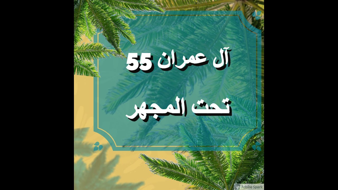 آل عمران 55 تحت المجهر | الأخ وحيد برنامج الدليل الحلقة رقم 358