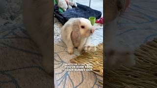 Yeah I’m adorable I know