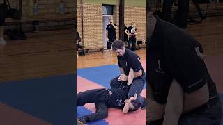 Bujin Snippets From Buyu-Kai 2025 In Novi Becej