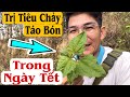 Trị Tiêu Chảy và Táo Bón Trong Ngày Tết. PHAN HẢI Channel