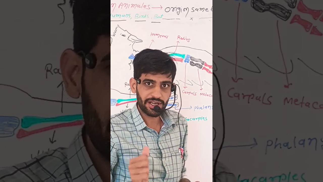 homologous organs in animales