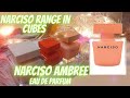 عطر نارسيسو أمبر Narciso Ambree ومقارنة مع نارسيسو بودريه ونارسيسو روج عطوري المفضلة 