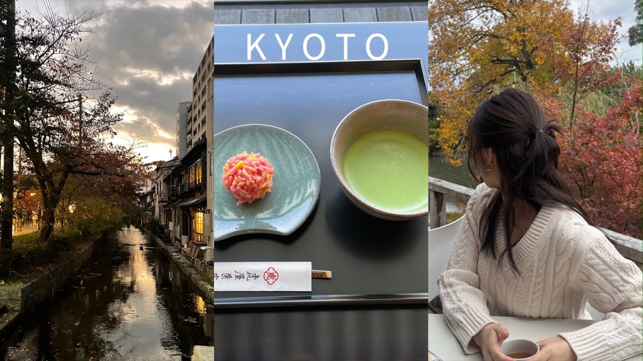 kyoto vlog. 교토일상 시작. 단풍으로 가득한 첫 교토 브이로그 🍁