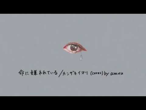 命に嫌われている。／カンザキイオリ (cover) by amuu