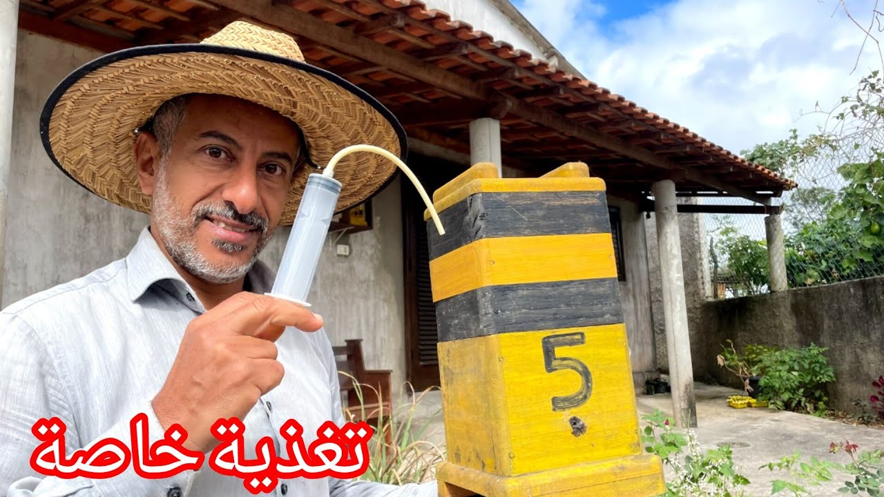 أغرب أنواع النحل في العالم 🌎 منها 9  أنواع في مزرعتنا 🙂