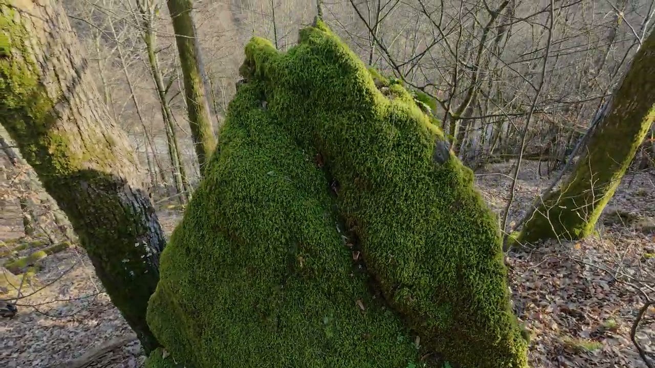 Vrabčie skaly - Hrešná