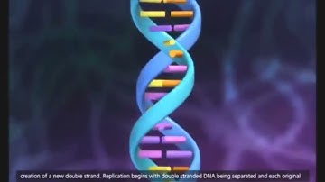 DNA replication in prokaryotic cell 3D animation with subtitle