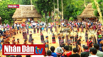 Bảo tồn và phát huy giá trị di sản được Unesco vinh danh | Câu chuyện văn hóa