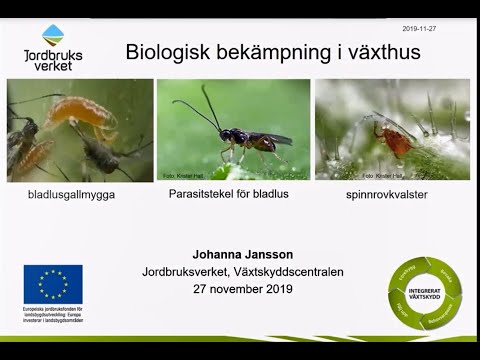 Video: Vad är biologisk bekämpning av skadedjur hur det är fördelaktigt?