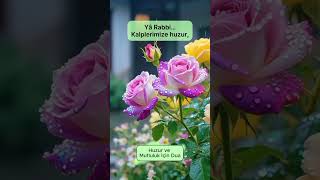Huzur Ve Mutluluk İçin Dua