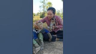 Lovely animal SokYaa,Sokhaa, To To And Mom Are Famous & Amazing #shorts