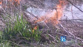 WL Parks Dept. hopes controlled burn will bring vibrant flowers
