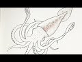 簡単イラスト！【イカ編】描き方