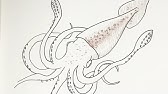 簡単イラスト タコ 描き方 Youtube