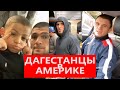 Дагестанцы в Америке Хабиб Нурмагомедов История из СТОРИЗ Хабиб Гейджи UFC 254 Khabib vs Gaethje