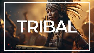 Action Tribal Drums No Copyright Music by Soundridemusic