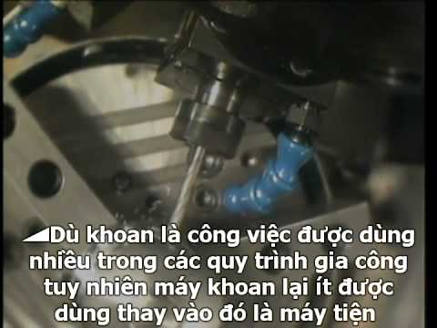 Video: Vịt mulard là ai