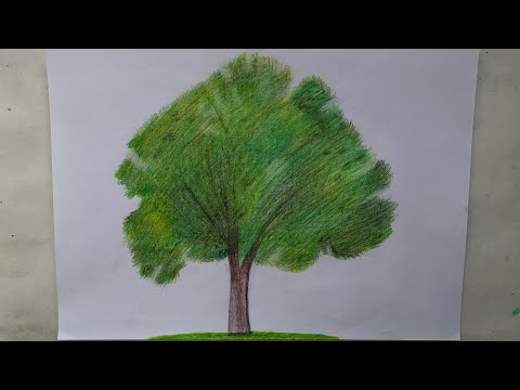 Video: Ağac üçün Antiseptiklər (47 şəkil): Ağac üçün Hansını Seçmək Daha Yaxşıdır? Emal, özünüz Antiseptik, Antiseptik Istehlakı