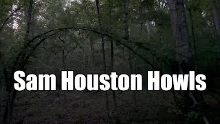 Howls In The Sam Houston National Forest and Sasquatch Exploration