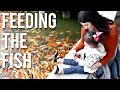 CHINA ADOPTION TRIP PART 4 | FEEDING THE FISH, CELEBRITY STATUS & FLOATING BABIES?!