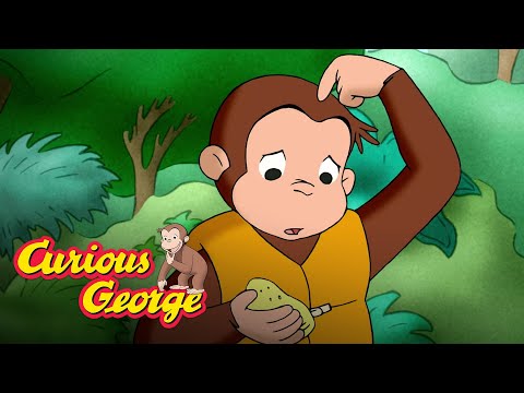 Shipwrecked 🐵 Curious George 🐵Kids Cartoon 🐵 Kids Movies 🐵Videos for Kids