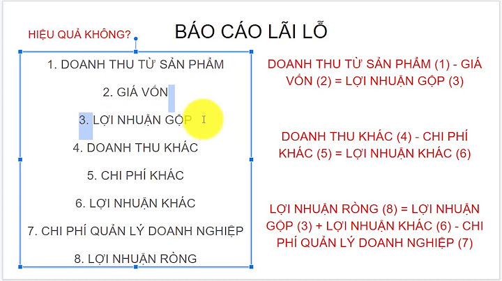 Bài tập quản trị dự án lập bảng lãi lỗ năm 2024